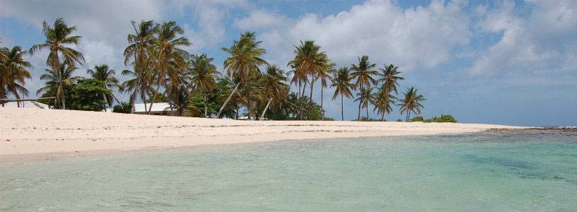Visite de 15 jours en Guadeloupe