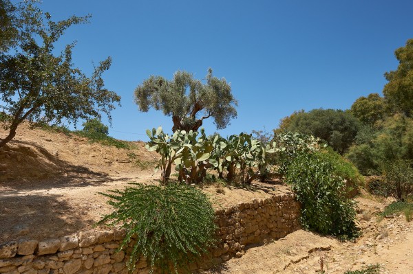 forte chaleur agrigente été Accès site Agrigente et jardin Kolymbethra
