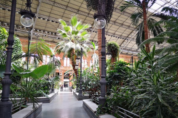 lieu insolite Madrid gare Atocha gare Atocha Madrid jardin tropical intérieur