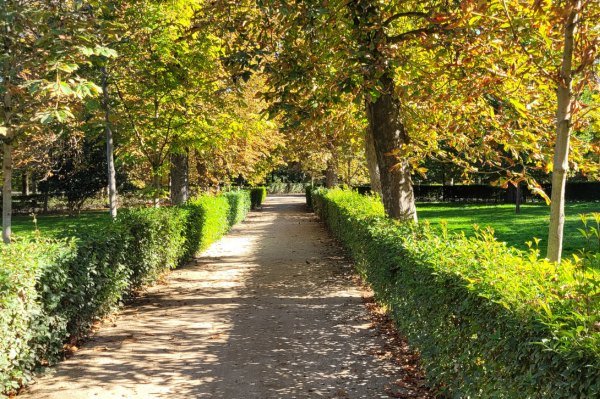 espace vert à Madrid centre parc Madrid ombragé repos