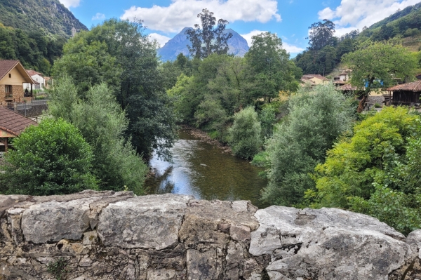La rivière au cœur de la Senda del Oso Rivière au bord de la Senda del Oso