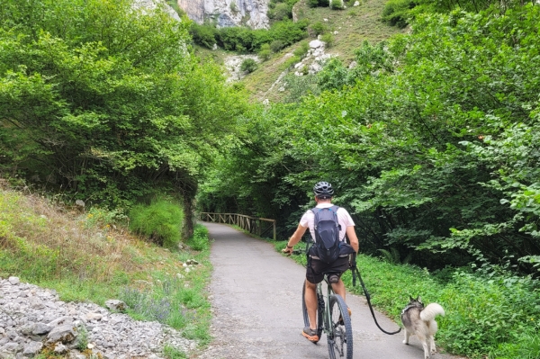 Notre chien sur la Senda del Oso Chien en balade sur la Senda del Oso dans les Asturies