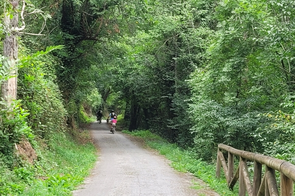 budget vélo asturies