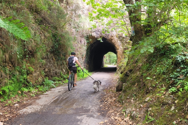 parcours à velo Tunnel de la Senda del Oso dans les Asturies