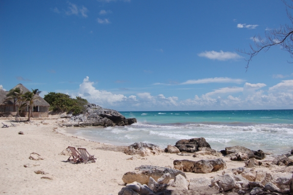 a voir dans les environs de Tulum Voir des tortues à Tulum